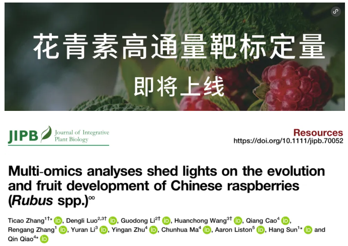 JIPB(IF=9.3)｜中科院昆明植物所孙航院士团队首次破解四种野生树莓基因组！(图1)