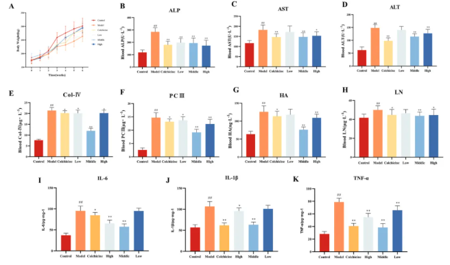 J Ethnopharmacol.|甘肃中医药大学张志红老师团队破解经典药对奥秘,精准阐释当归-白芍药对抗肝纤维化作用机制(图3) J Ethnopharmacol.|甘肃中医药大学张志红老师团队破解经典药对奥秘,精准阐释当归-白芍药对抗肝纤维化作用机制(图3)