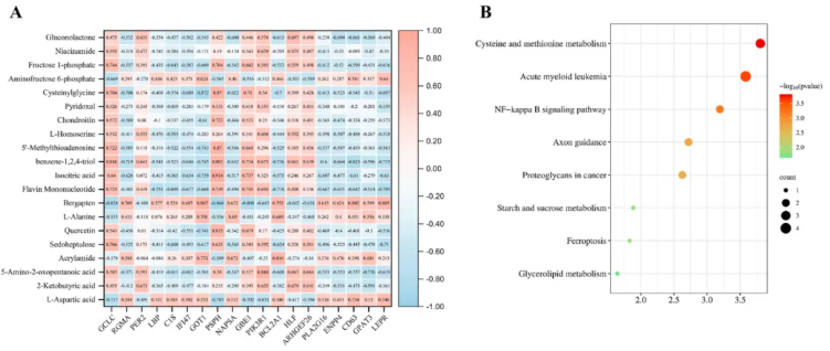 J Ethnopharmacol.|甘肃中医药大学张志红老师团队破解经典药对奥秘,精准阐释当归-白芍药对抗肝纤维化作用机制(图11) J Ethnopharmacol.|甘肃中医药大学张志红老师团队破解经典药对奥秘,精准阐释当归-白芍药对抗肝纤维化作用机制(图11)