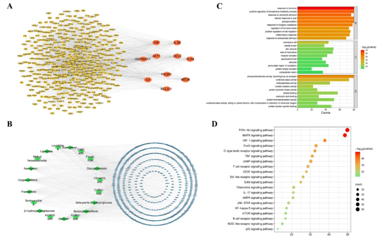 J Ethnopharmacol.|甘肃中医药大学张志红老师团队破解经典药对奥秘,精准阐释当归-白芍药对抗肝纤维化作用机制(图8) J Ethnopharmacol.|甘肃中医药大学张志红老师团队破解经典药对奥秘,精准阐释当归-白芍药对抗肝纤维化作用机制(图8)