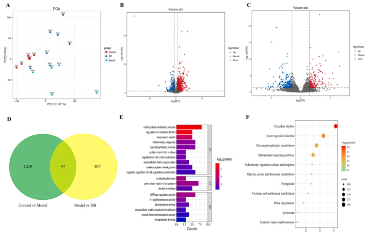 J Ethnopharmacol.|甘肃中医药大学张志红老师团队破解经典药对奥秘,精准阐释当归-白芍药对抗肝纤维化作用机制(图9) J Ethnopharmacol.|甘肃中医药大学张志红老师团队破解经典药对奥秘,精准阐释当归-白芍药对抗肝纤维化作用机制(图9)