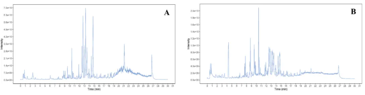 J Ethnopharmacol.|甘肃中医药大学张志红老师团队破解经典药对奥秘,精准阐释当归-白芍药对抗肝纤维化作用机制(图7) J Ethnopharmacol.|甘肃中医药大学张志红老师团队破解经典药对奥秘,精准阐释当归-白芍药对抗肝纤维化作用机制(图7)