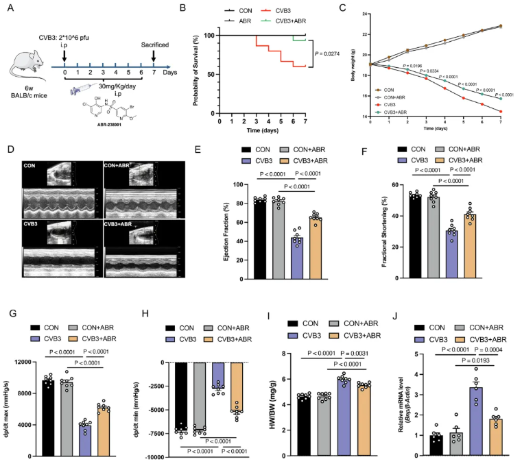 J.Adv.Res.(IF=13)|血浆蛋白质组学赋能：暴发性心肌炎精准诊断与靶向治疗新突破(图7)