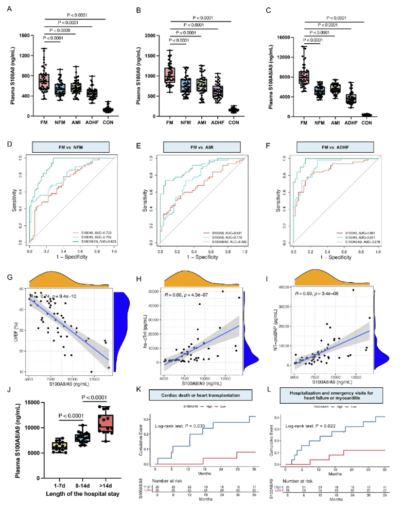 J.Adv.Res.(IF=13)|血浆蛋白质组学赋能：暴发性心肌炎精准诊断与靶向治疗新突破(图5)