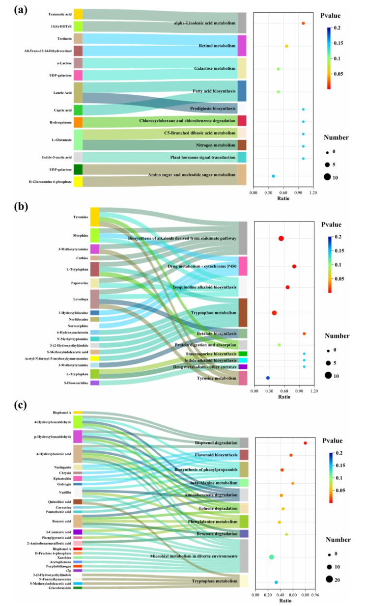 J.Agric.Food Chem.(IF=6.2)|西农团队：揭示三种土壤改良剂通过DOM转化与微生物代谢重编程调控硒镉生物有效性的分子机制(图6)