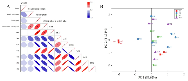 Food Chemistry:X(IF=8.2)|中国热带农业科学院徐兵强团队:电子舌+非靶标代谢组学深度解析黄皮品种代谢差异,揭示黄皮风味密码!(图3) Food Chemistry:X(IF=8.2)|中国热带农业科学院徐兵强团队:电子舌+非靶标代谢组学深度解析黄皮品种代谢差异,揭示黄皮风味密码!(图3)