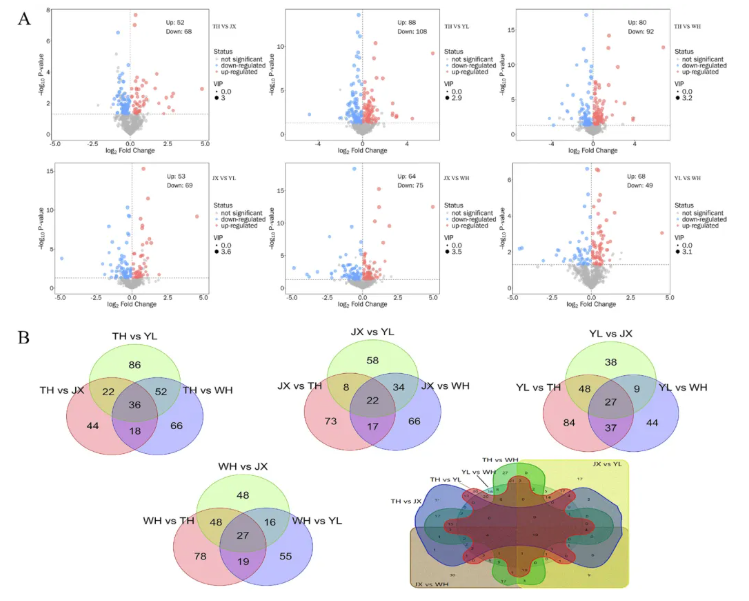 Food Chemistry:X(IF=8.2)|中国热带农业科学院徐兵强团队:电子舌+非靶标代谢组学深度解析黄皮品种代谢差异,揭示黄皮风味密码!(图6) Food Chemistry:X(IF=8.2)|中国热带农业科学院徐兵强团队:电子舌+非靶标代谢组学深度解析黄皮品种代谢差异,揭示黄皮风味密码!(图6)