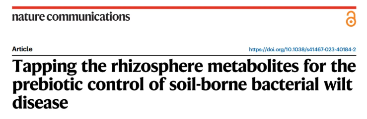 IF=15.7|北京林业大学研究团队破解植物“马太效应”：杨树靠关键基因操控菌群实现生长优势(图1)