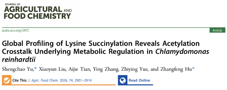 J.Agric.Food Chem.(IF=6.2)|江汉大学胡长峰团队首绘莱茵衣藻赖氨酸琥珀酰化全景图谱,揭秘酰化修饰串扰调控核心代谢的全新机制(图1) J.Agric.Food Chem.(IF=6.2)|江汉大学胡长峰团队首绘莱茵衣藻赖氨酸琥珀酰化全景图谱,揭秘酰化修饰串扰调控核心代谢的全新机制(图1)