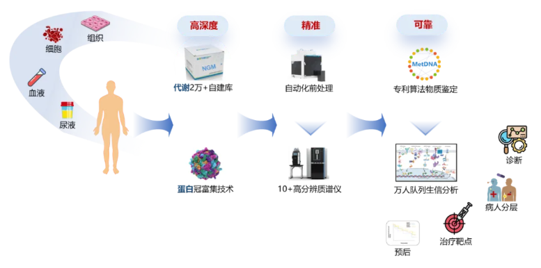 百趣医学新品发布 | 双羟基维生素D试剂盒,实现VD全代谢通路功能评估(图6) 百趣医学新品发布 | 双羟基维生素D试剂盒,实现VD全代谢通路功能评估(图6)