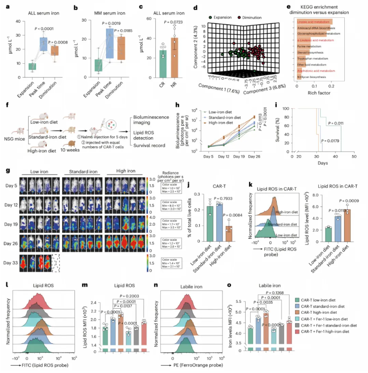 nature cancer(IF=28.0)|浙江大学良渚实验室黄河教授团队:靶向ACSL4阻断铁死亡,恢复CAR-T细胞在体内的抗肿瘤活性(图4) nature cancer(IF=28.0)|浙江大学良渚实验室黄河教授团队:靶向ACSL4阻断铁死亡,恢复CAR-T细胞在体内的抗肿瘤活性(图4)