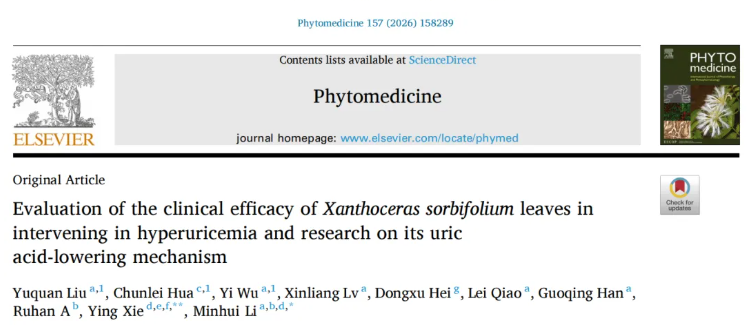 Phytomedicine(IF=11.3)|降尿酸新方案！内蒙古中医医院研究团队发文揭示文冠果叶提取物降尿酸效果媲美非布司他(图1)