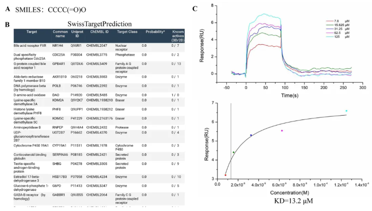Mol.Med.(IF=8.3)|武汉大学人民医院研究团队:TGR5/β-arrestin2介导丁酸钠调控巨噬细胞极化(图2) Mol.Med.(IF=8.3)|武汉大学人民医院研究团队:TGR5/β-arrestin2介导丁酸钠调控巨噬细胞极化(图2)