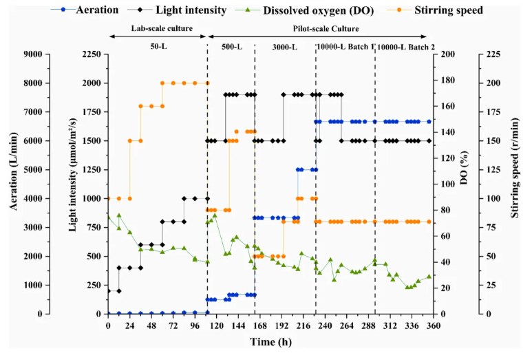 Bioresour Technol.(IF=8.2)|非无菌、低成本、高蛋白—华南理工研究团队采用嗜硫红藻中试系统破解高氨氮废水处理难题!(图3) Bioresour Technol.(IF=8.2)|非无菌、低成本、高蛋白—华南理工研究团队采用嗜硫红藻中试系统破解高氨氮废水处理难题!(图3)