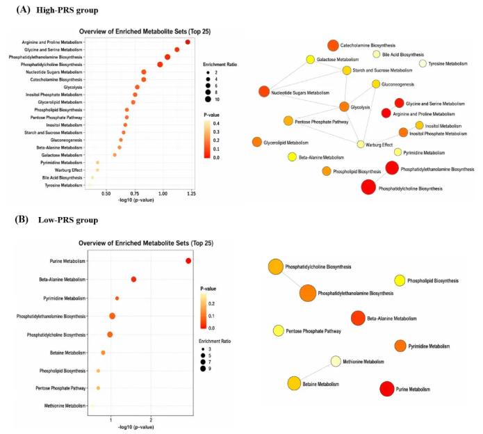 Aging Cell(IF=7.7)|抗衰老也分人:北大徐美虹团队揭示尿酸基因风险调控外源性核苷酸抗衰老效应的多组学证据(图7) Aging Cell(IF=7.7)|抗衰老也分人:北大徐美虹团队揭示尿酸基因风险调控外源性核苷酸抗衰老效应的多组学证据(图7)