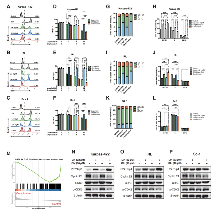 Cell Death Dis.(IF=12.2)|厦门大学徐兵教授团队解锁滤泡性淋巴瘤治疗新策略:PI3Kδ与PPARα双靶向重塑代谢激活FoxO1(图4) Cell Death Dis.(IF=12.2)|厦门大学徐兵教授团队解锁滤泡性淋巴瘤治疗新策略:PI3Kδ与PPARα双靶向重塑代谢激活FoxO1(图4)