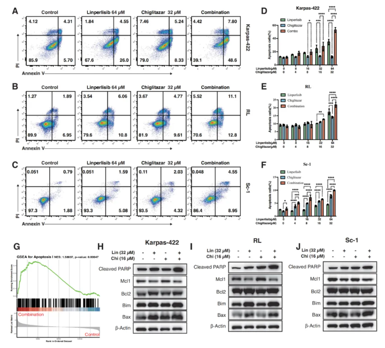 Cell Death Dis.(IF=12.2)|厦门大学徐兵教授团队解锁滤泡性淋巴瘤治疗新策略:PI3Kδ与PPARα双靶向重塑代谢激活FoxO1(图3) Cell Death Dis.(IF=12.2)|厦门大学徐兵教授团队解锁滤泡性淋巴瘤治疗新策略:PI3Kδ与PPARα双靶向重塑代谢激活FoxO1(图3)