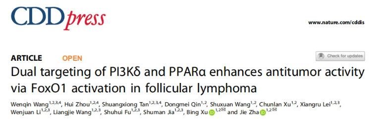 Cell Death Dis.(IF=12.2)|厦门大学徐兵教授团队解锁滤泡性淋巴瘤治疗新策略:PI3Kδ与PPARα双靶向重塑代谢激活FoxO1(图1) Cell Death Dis.(IF=12.2)|厦门大学徐兵教授团队解锁滤泡性淋巴瘤治疗新策略:PI3Kδ与PPARα双靶向重塑代谢激活FoxO1(图1)