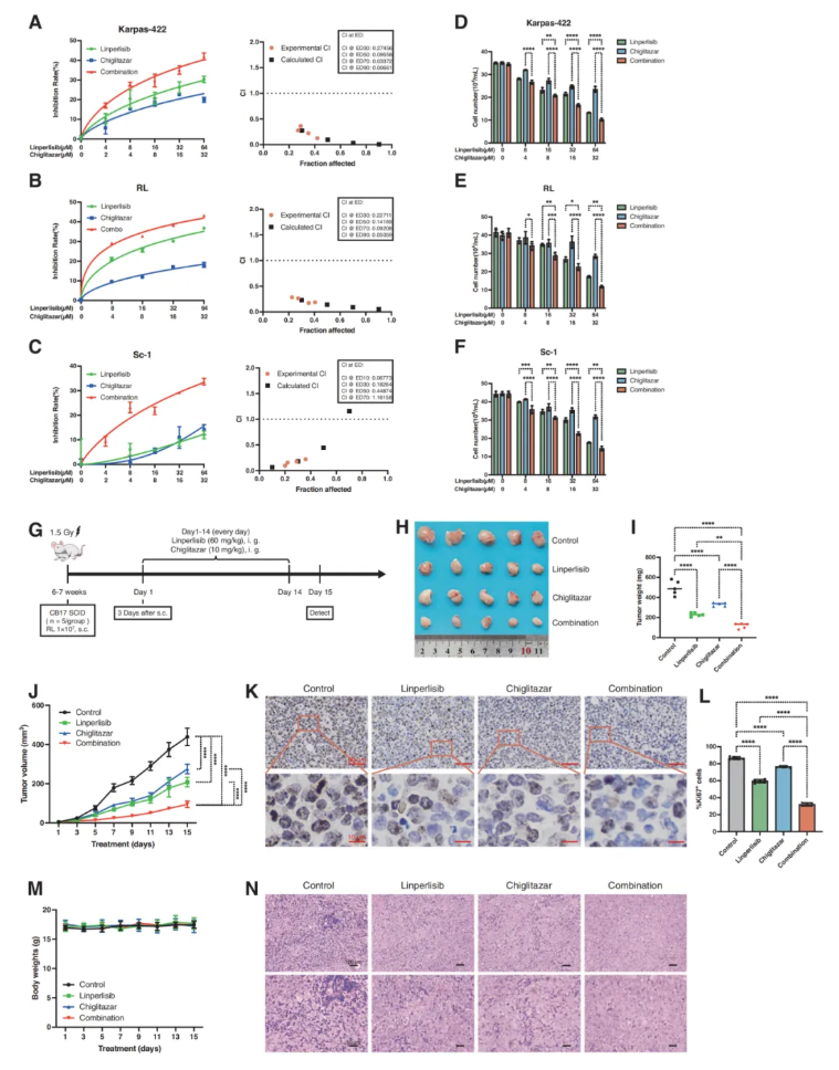 Cell Death Dis.(IF=12.2)|厦门大学徐兵教授团队解锁滤泡性淋巴瘤治疗新策略:PI3Kδ与PPARα双靶向重塑代谢激活FoxO1(图2) Cell Death Dis.(IF=12.2)|厦门大学徐兵教授团队解锁滤泡性淋巴瘤治疗新策略:PI3Kδ与PPARα双靶向重塑代谢激活FoxO1(图2)