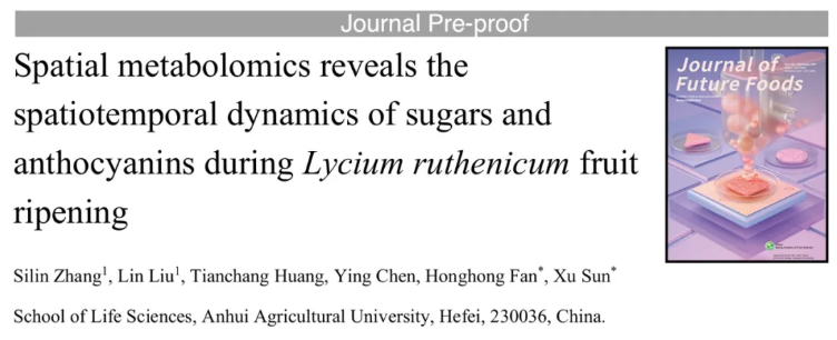 J.Future Foods(IF=10.6)|安徽农业大学孙旭/樊洪泓团队破解黑果枸杞糖类与花青素时空分布之谜!(图1) J.Future Foods(IF=10.6)|安徽农业大学孙旭/樊洪泓团队破解黑果枸杞糖类与花青素时空分布之谜!(图1)