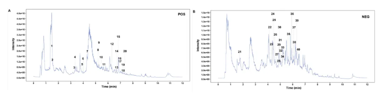 Phytomedicine(IF=11.3)|南中医研究团队揭示仙连解毒汤靶向Plaur抑制结直肠癌肝转移的分子机制!(图3) Phytomedicine(IF=11.3)|南中医研究团队揭示仙连解毒汤靶向Plaur抑制结直肠癌肝转移的分子机制!(图3)