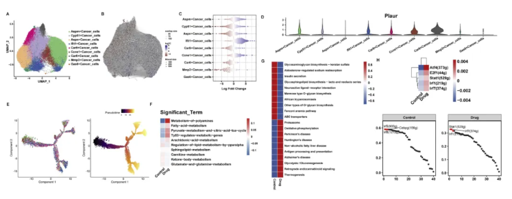 Phytomedicine(IF=11.3)|南中医研究团队揭示仙连解毒汤靶向Plaur抑制结直肠癌肝转移的分子机制!(图6) Phytomedicine(IF=11.3)|南中医研究团队揭示仙连解毒汤靶向Plaur抑制结直肠癌肝转移的分子机制!(图6)